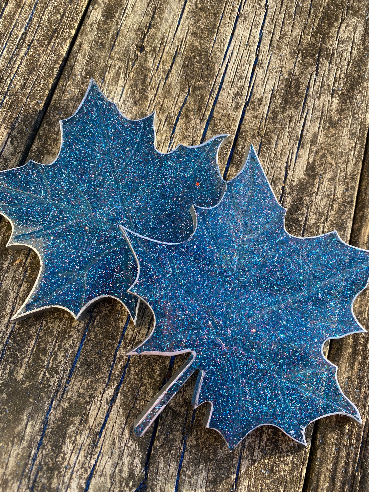 Frozen Leaf Coaster Set